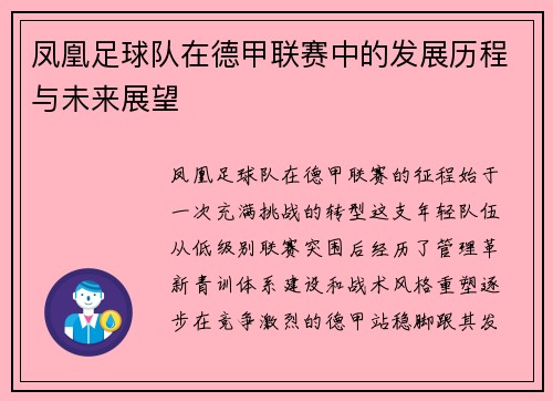 凤凰足球队在德甲联赛中的发展历程与未来展望